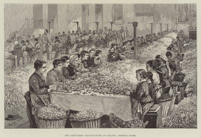La fabrication de parfumerie à Grasse, tri des roses - Walter Paget
